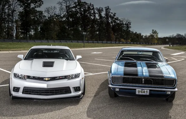 Background, Chevrolet, Camaro, Chevrolet, Camaro, the front, Muscle car, old and new