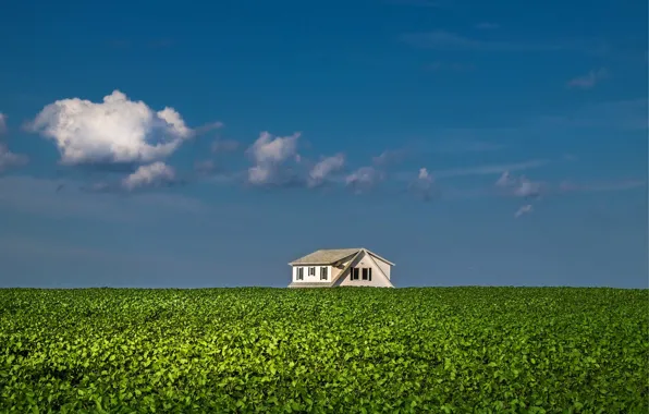 Picture house, sky, clouds, farm, sunny, farmland, potatoe field