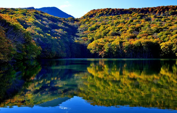 Forest, water, mountains, lake, reflection, Japan, Japan, Towada