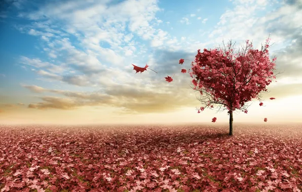 Picture the sky, leaves, branches, tree, heart, pink