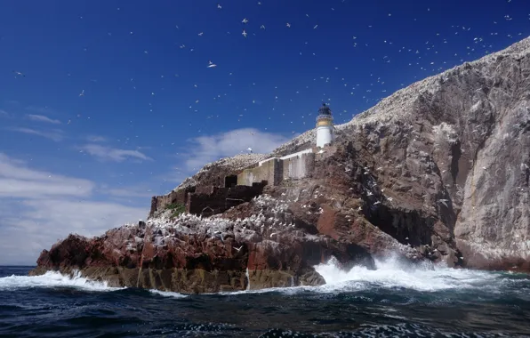 The sky, mountains, lake, rocks, lighthouse, seagulls, the evening, Landscape