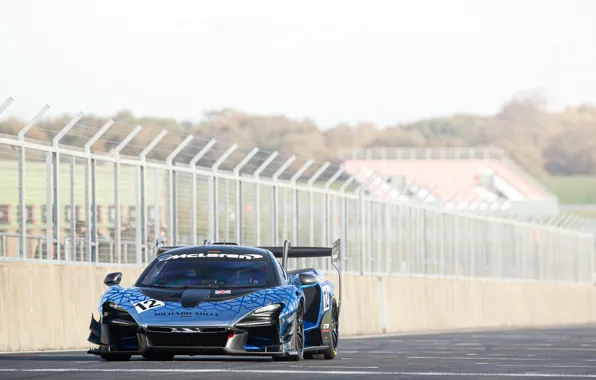 McLaren, GTR, racing car, Senna, 2019