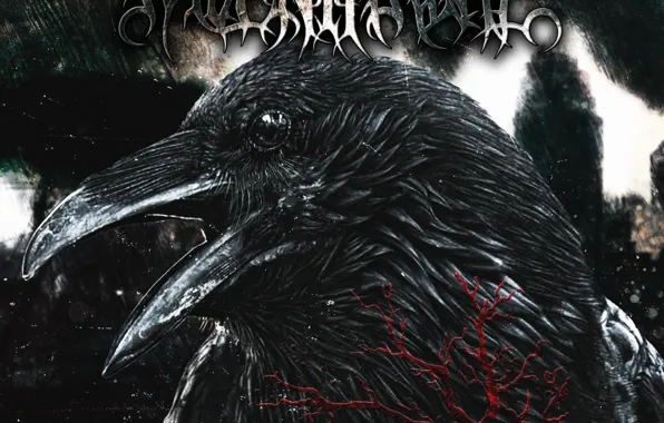 Death, destruction, Raven, THE DOCTRINE OF HATRED, Raven Throne, Raven throne