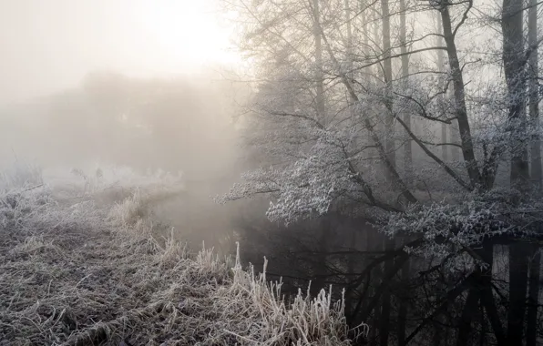 Frost, fog, river