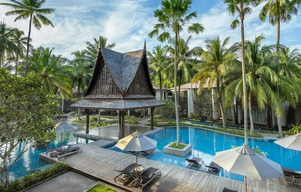 Palm trees, pool, Thailand, Phuket, resort, Twinpalms resort
