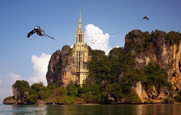 Picture sea, the sky, water, trees, flight, castle, rocks, bird