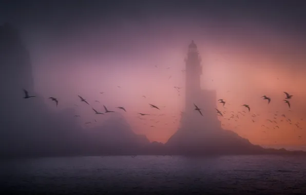 Picture sea, dawn, morning, Sakhalin, Alexander Kukanov, Aniva lighthouse, The predawn lighthouse