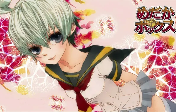 Anime, art, schoolgirl, Medaka Box