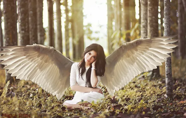 Picture forest, look, girl, trees, smile, wings, brown hair