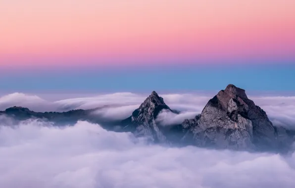 Picture Switzerland, trees, landscape, nature, sunset, mountains, clouds, mist