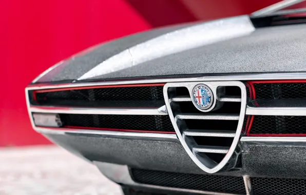 Picture 1969, Alfa Romeo, logo, close-up, front, Italdesign, Giugiaro, Type 33