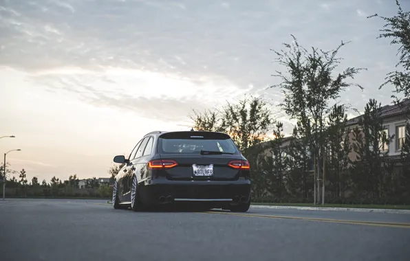 Picture Audi, wheels, wagon, before