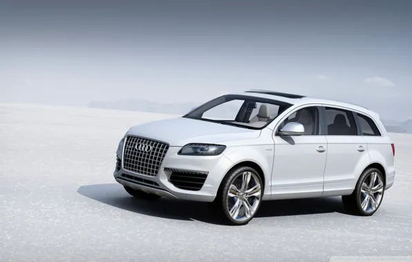 Picture white, Audi, plain