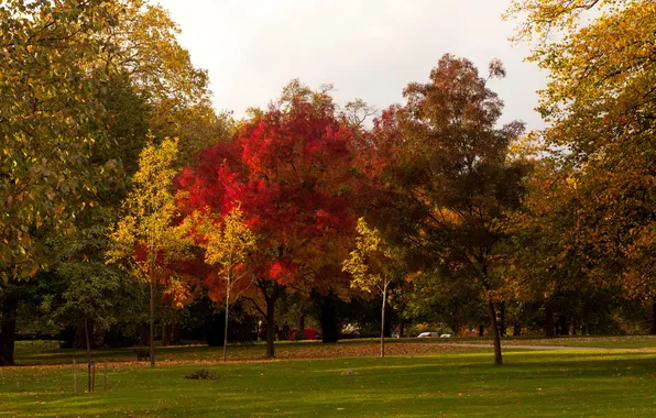 Picture autumn, trees, nature, Park, photo, lawn, England, London