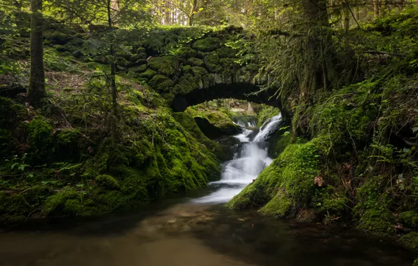 Forest, bridge, stream, Germany, river, cascade, Germany, Black Forest