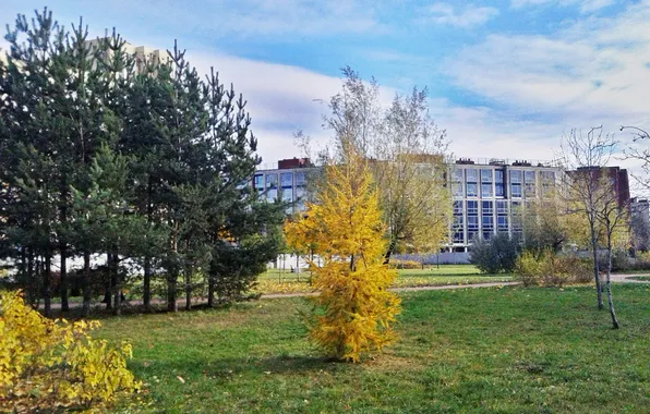 Autumn, landscapes, October 31-2024, The last day of autumn
