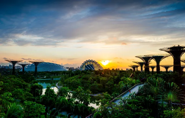 Picture trees, bridge, design, Park, dawn, garden, Singapore, river