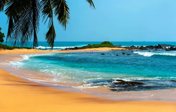 Picture sand, sea, tropics, stones, palm trees, shore, horizon, surf
