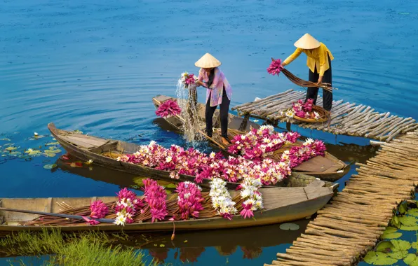 Water, boat, Asia, water Lily