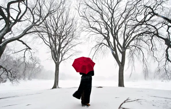 Picture girl, snow, Japan, umbrella, Sakura