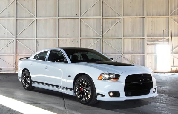 Picture Dodge, SRT8, car, Dodge, Charger, the charger