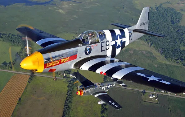 Flight, the plane, landscape, pair, parade, propeller