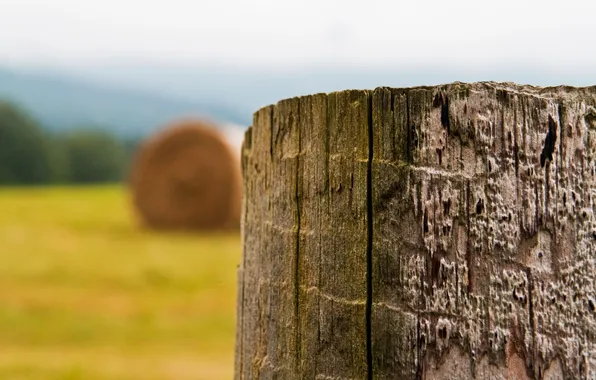 Picture field, space, hay, wooden, the harvest, column, the end of summer, time