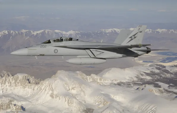 Picture flight, mountains, fighter, cabin, pilot, multipurpose, Hornet, CF-18