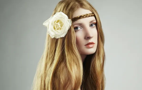 Flower, look, girl, face, long hair, pigtail, white rose