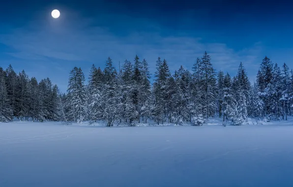 Winter, forest, snow, trees, the moon, Switzerland, Switzerland, Jura