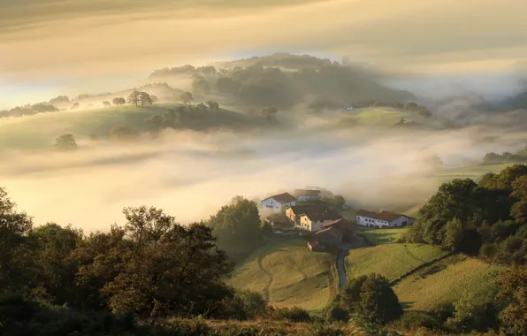 Picture mountains, fog, home, morning