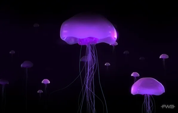 Picture glow, Jellyfish