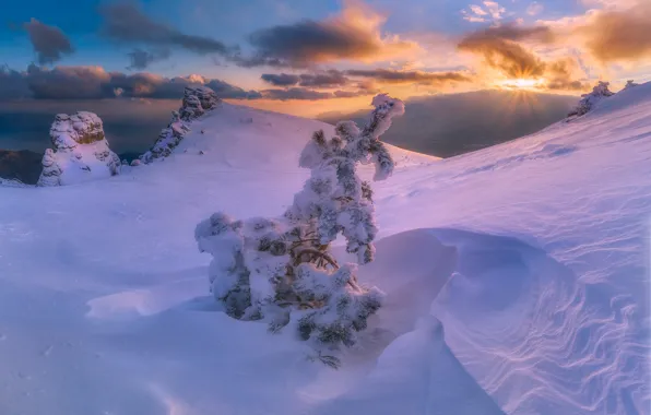 Winter, snow, landscape, mountains, nature, Crimea, Demerdzhi, trees