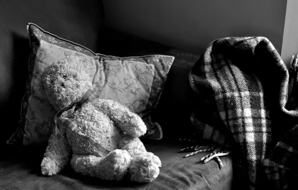Bear, pillow, plaid, Teddy