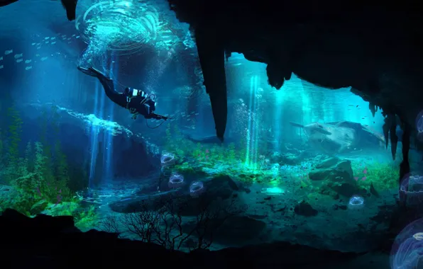 Picture sea, water, the ocean, people, places, dip