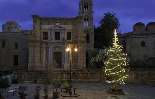 Lights, holiday, tree, New Year, Christmas, Italy, Palermo, Martorana