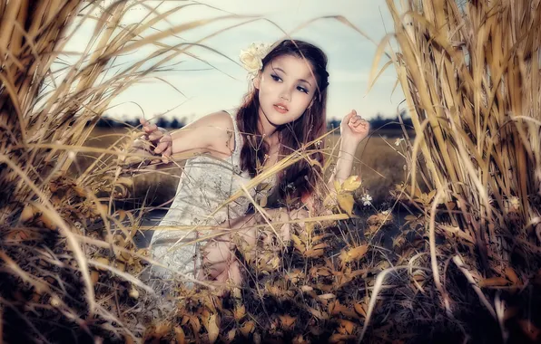 Wallpaper, girl, sexy, woman, model, china, asian, cute