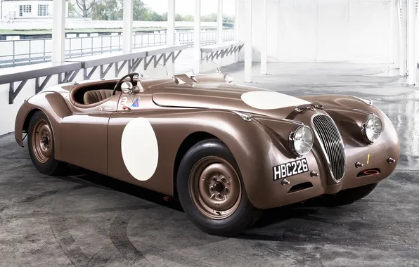Roadster, Jaguar, Jaguar, classic, the front, 1950, Competition, 120