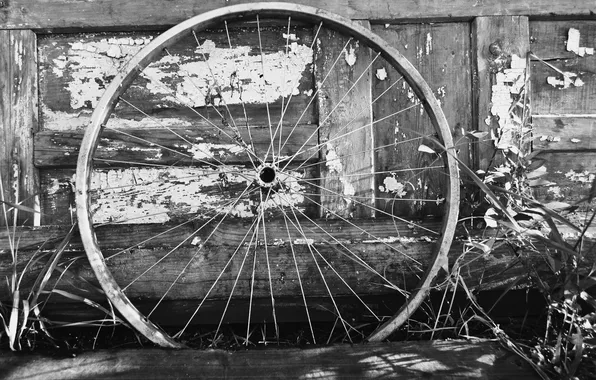 Picture metal, white, black, wood, bicycle wheel