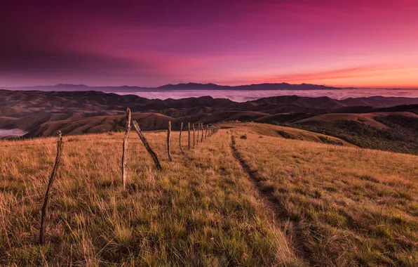 Field, the sky, landscape, mountains, dawn, the fence
