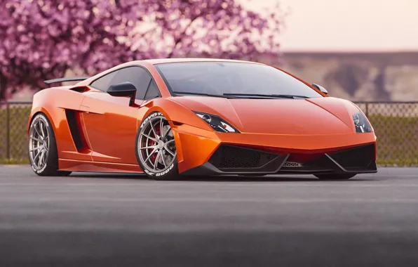 Auto, Machine, Orange, Gallardo, Lamborghini Gallardo, The front, Sports car, Transport & Vehicles