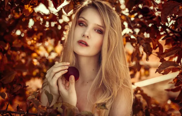 Picture look, girl, face, background, apples