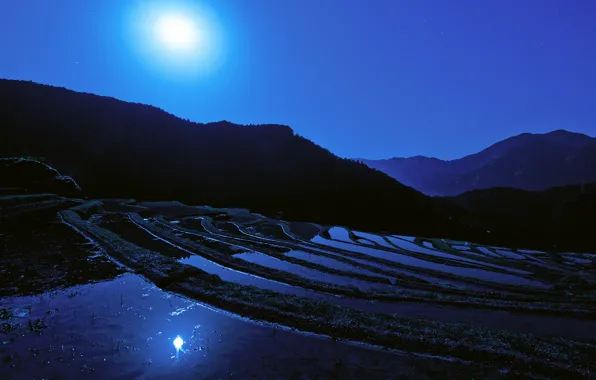 Picture night, the moon, Japan, Japan, Moon, rice field