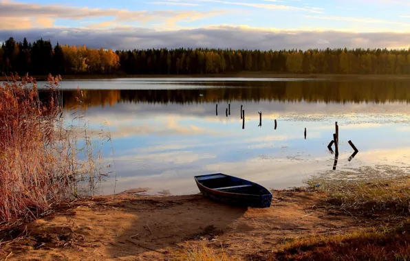 Picture autumn, forest, river, boat, old rowboat on a lake