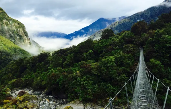 Forest, mountains, bridge, nature