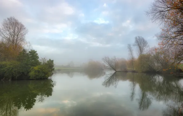 Autumn, fog, lake, pond, calm, morning, quiet