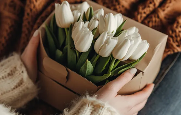 Flowers, holiday, bouquet, spring, tulips, March 8, AI art, universal holiday background