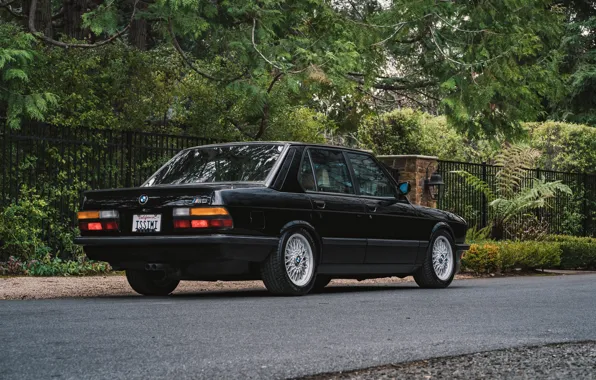 Picture BMW, E28, 1988, M5