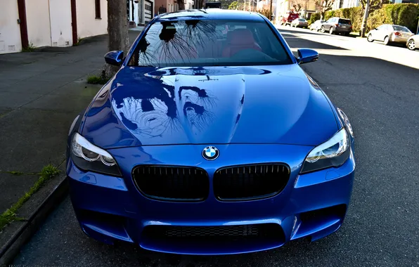 Picture reflection, BMW, Blue, the front, F10