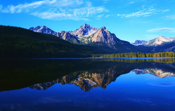 Forest, mountains, lake, reflection
